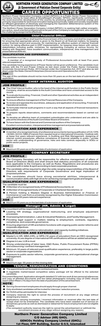 Jobs in Northern Power Generation Company Limited
